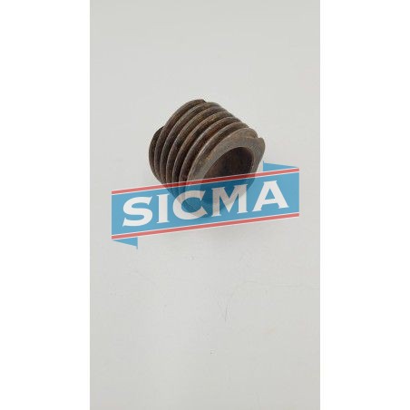 Vis sans fin de commande de prise de compteur - sicma-pieces-auto.com 