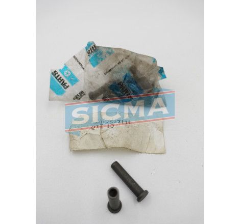 Accueil - Axe des retenues de porte - pièces détachées SIMCA